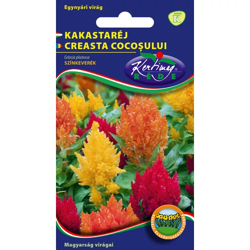 Celosia argentea 'Cristata'