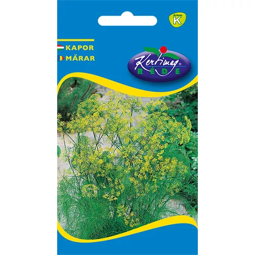 Anethum graveolens