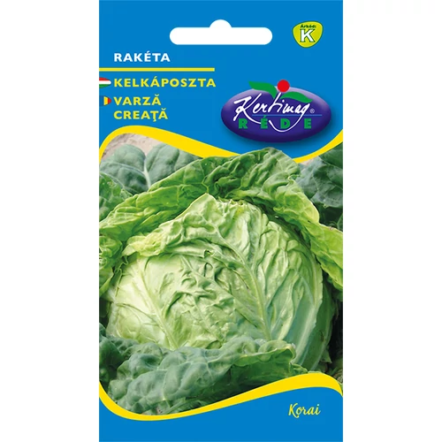 Brassica oleracea conbullata 'Rakéta'