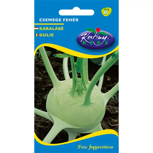 Brassica gongyloides 'Szentesi fehér'