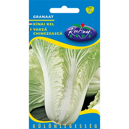 Brassica pektinensis