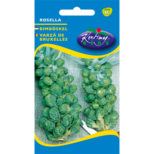 Brassica gemmifera 'Rosella'
