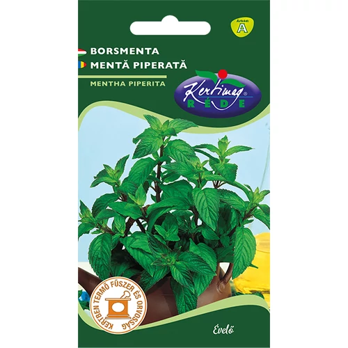 Mentha piperita