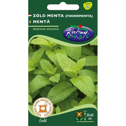 Mentha spicata