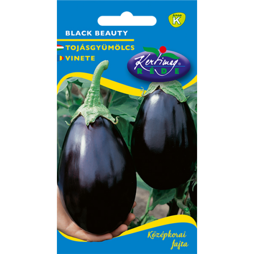 Solanum melongena 'Black Beauty'