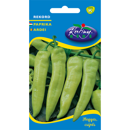 Capsicum annuum 'Rekord'