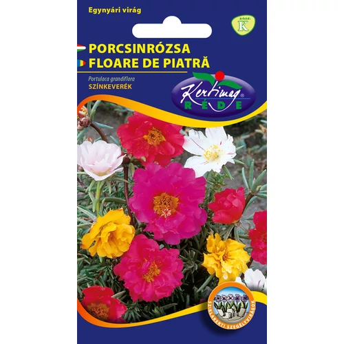 Portulaca grandiflora