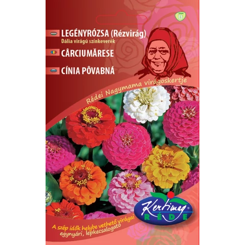 Zinnia elegans