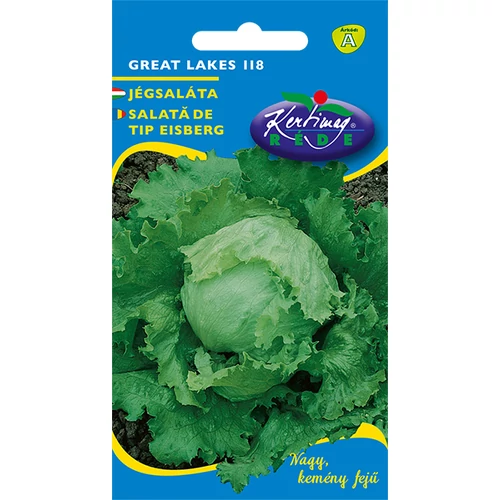 Lactuca sativa 'Great Lakes'