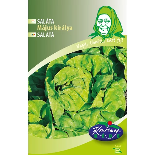 Lactuca sativa 'Május királya'