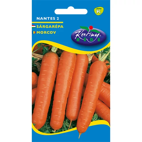 Daucus carota 'Nantes 2'