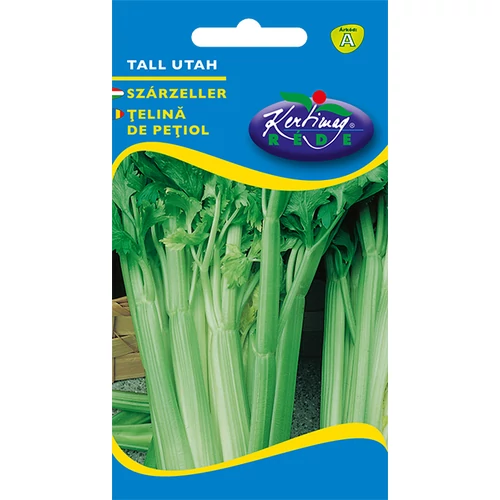 Apium graveolens 'Szárzeller zöld'