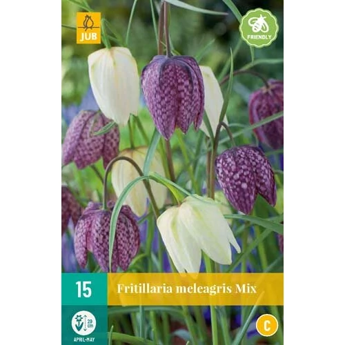 Fritillaria meleagris