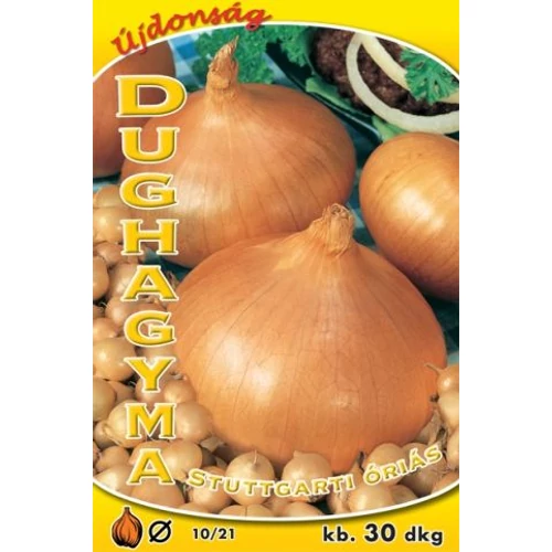 Allium cepa 'Stuttgarti óriás'