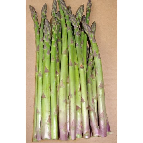 Asparagus 'Eros'