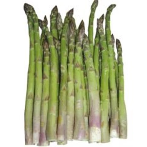 Asparagus 'Giove'