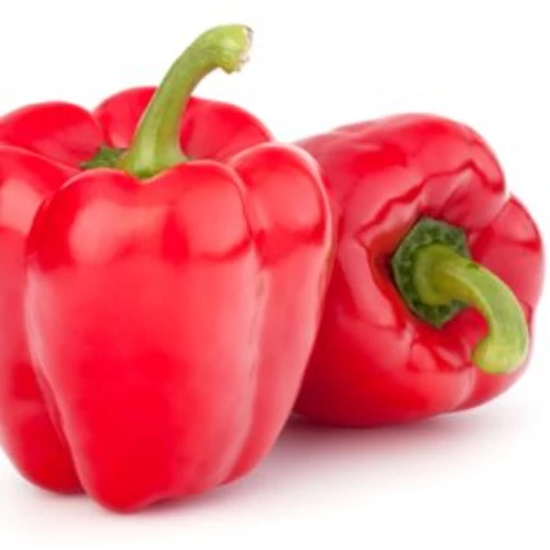 Capsicum annuum 'Spartacus F1'