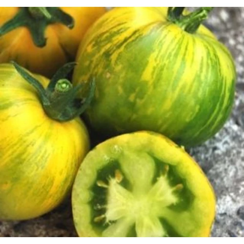 Lycopersicon lycopersicum 'Green Zebra F1'