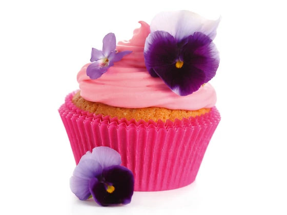 Az árvácska (Viola wittrockiana) ültetése, gondozása. 