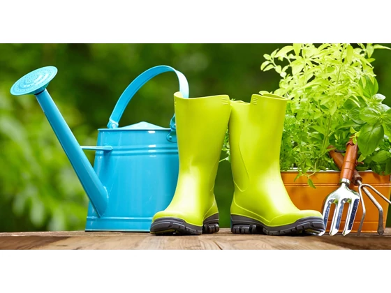 Meddig lehet ültetni? Lehet már ültetni? 