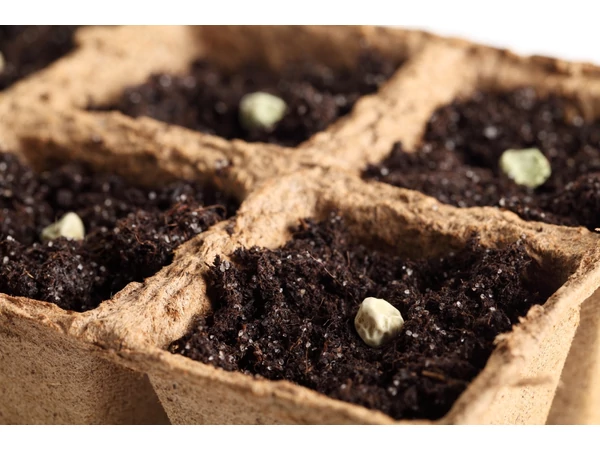 Virágföld, trágya, tőzeg, fenyőkéreg