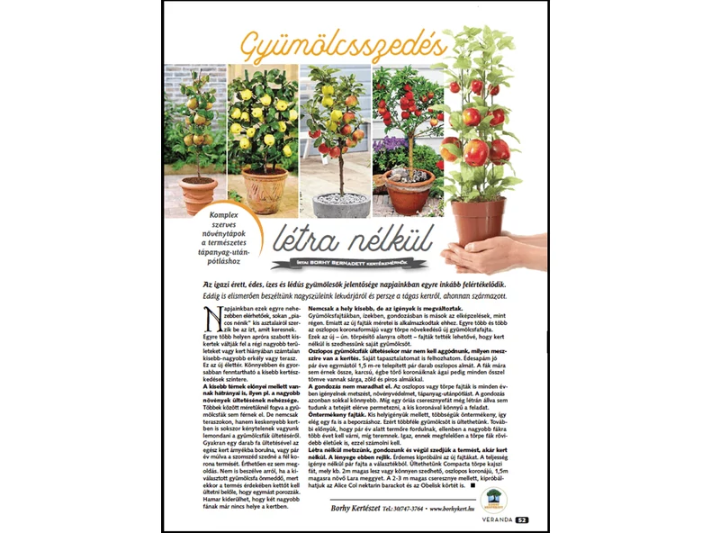 Gyümölcsszedés létra nélkül - Veranda Magazin