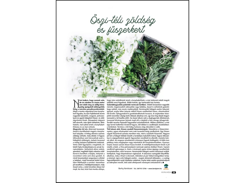 Őszi - téli zöldség - és fűszerkert - Veranda Magazin