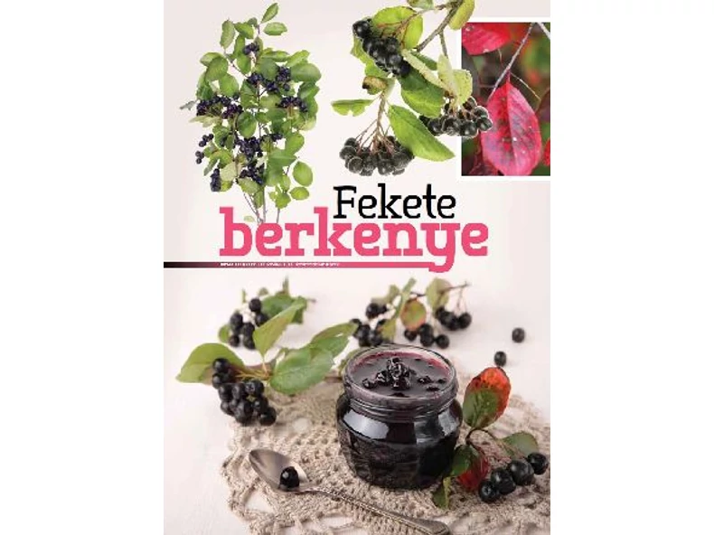 Fekete berkenye - Gerendaházak Magazin