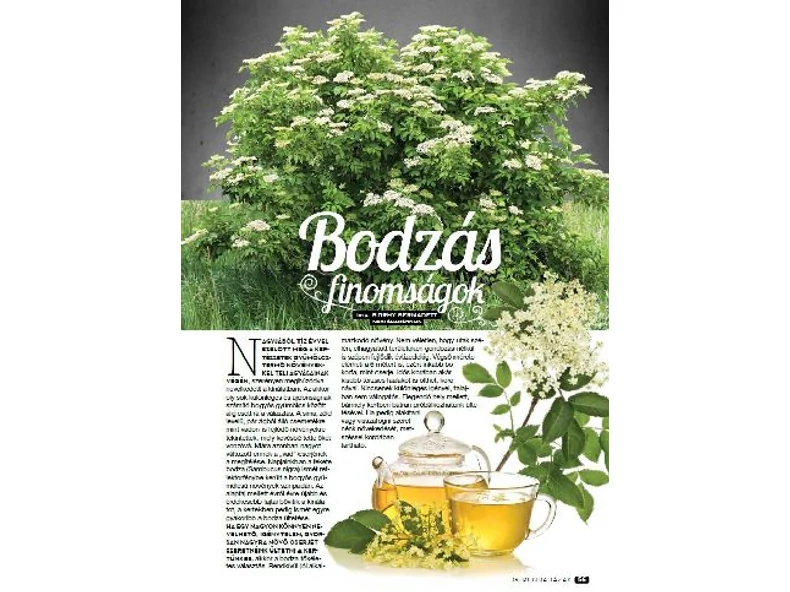 Bodzás finomságok - Gerendaházak Magazin