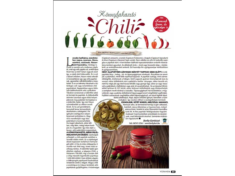 Könnyfakasztó Chili - Veranda Magazin