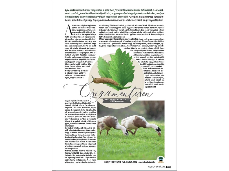 Csigamentesen - Gerendaházak Magazin