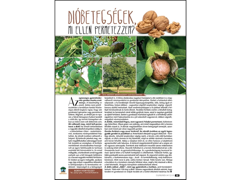 Dió betegségek, mi ellen permetezzem? - Gerendaházak Magazin