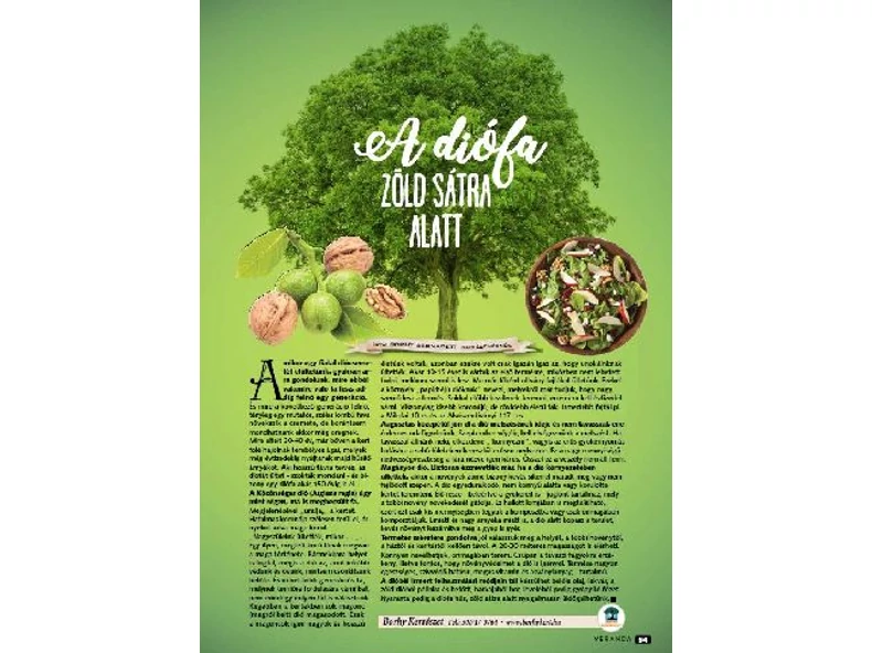 A Diófa zöld sátra alatt - Veranda Magazin