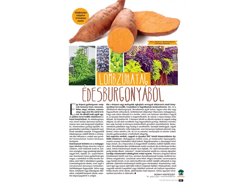 Lombzuhatag édesburgonyából - Gerendaházak Magazin