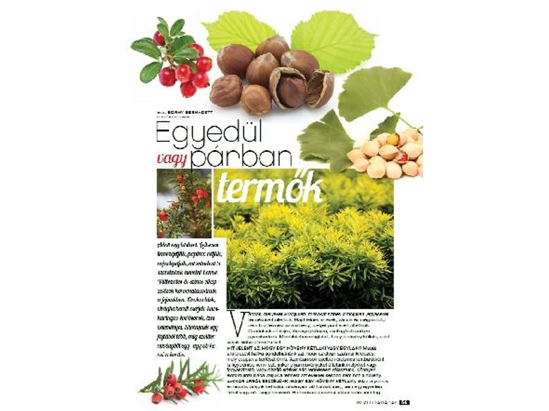 Egyedül vagy párban termők - Gerendaházak Magazin