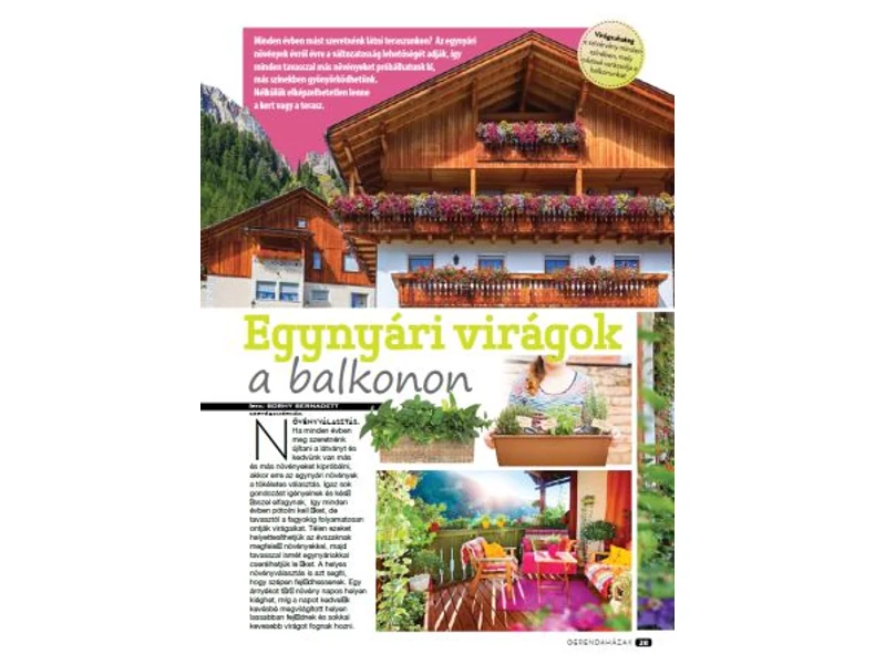 Egynyári virágok a balkonon - Gerendaházak Magazin