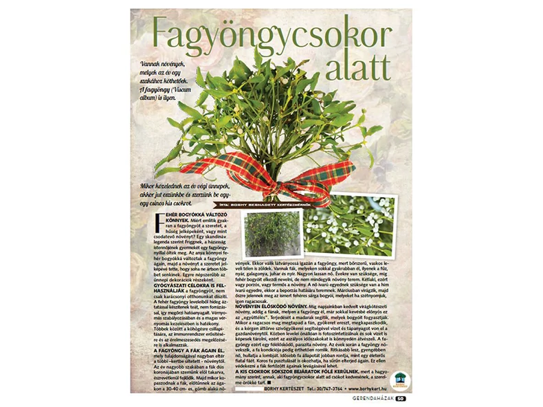 Fagyöngycsokor alatt - Gerendaházak Magazin