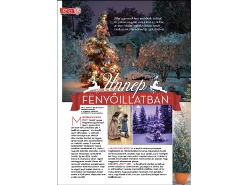 Ünnep fenyőillatban - Veranda Magazin
