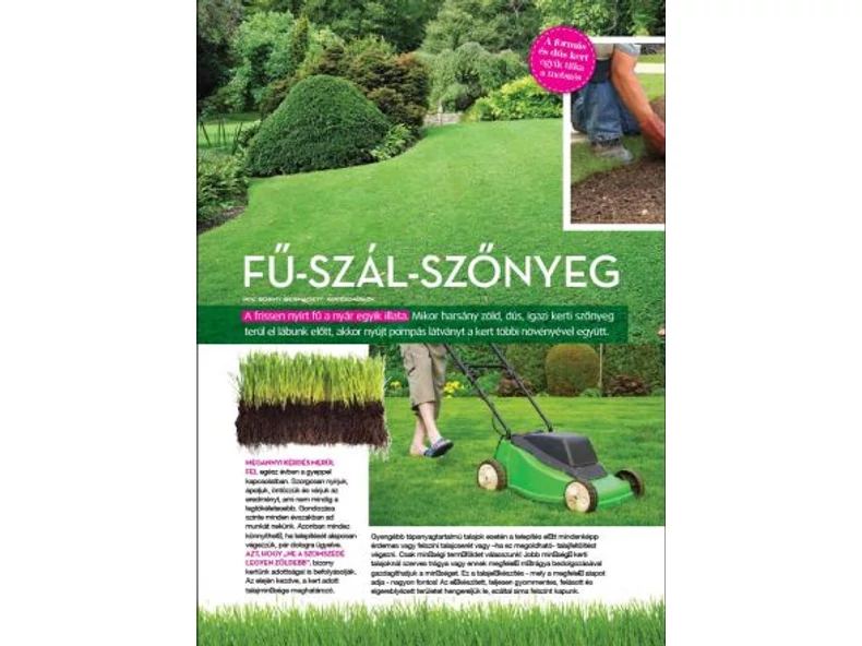Fű-szál-szőnyeg - Gerendaházak Magazin