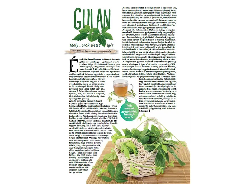 Gulan, mely örök életet ígér - Veranda Magazin