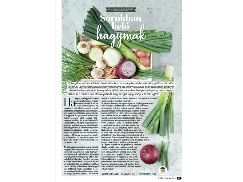 Hagymába rejtett tavasz - Veranda Magazin