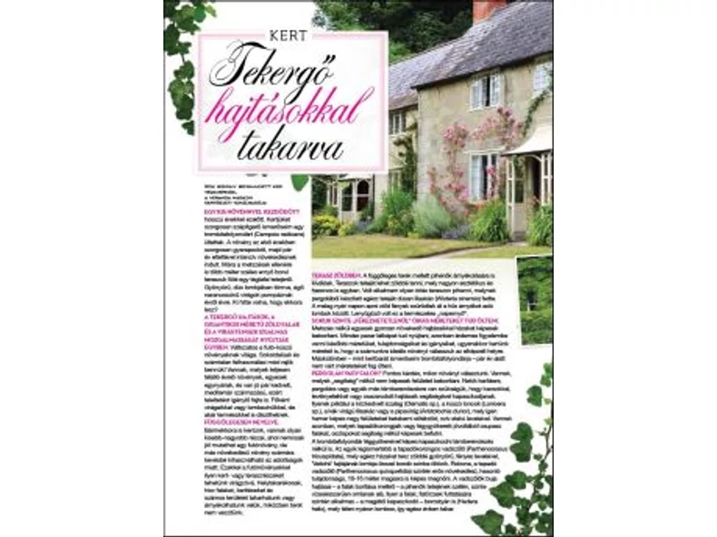 Tekergő hajtásokkal takarva - Veranda Magazin