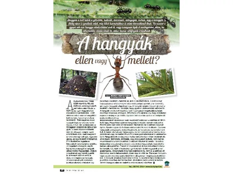 A hangyák ellen vagy mellett? - Gerendaházak Magazin