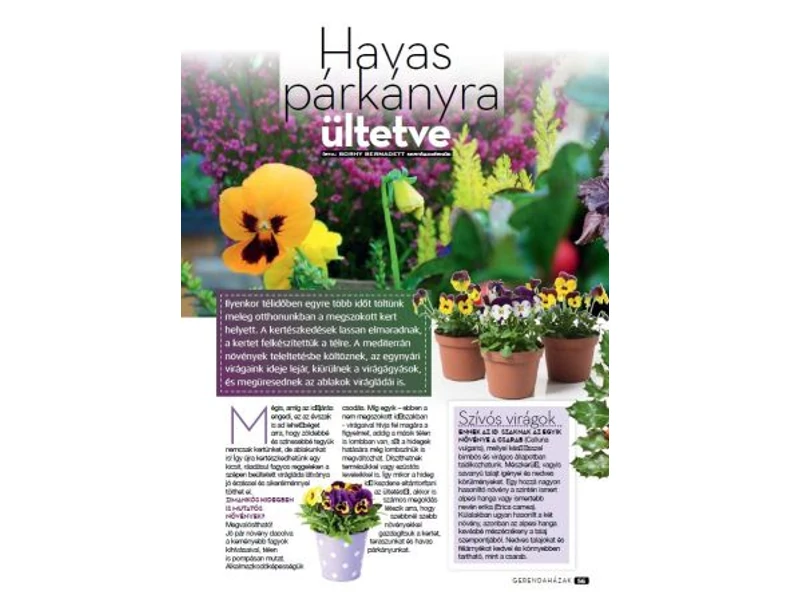 Havas párkányra ültetve - Gerendaházak Magazin