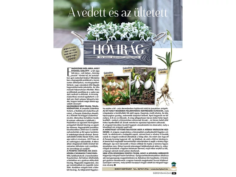 A védett és az ültetett Hóvirág - Gerendaházak Magazin