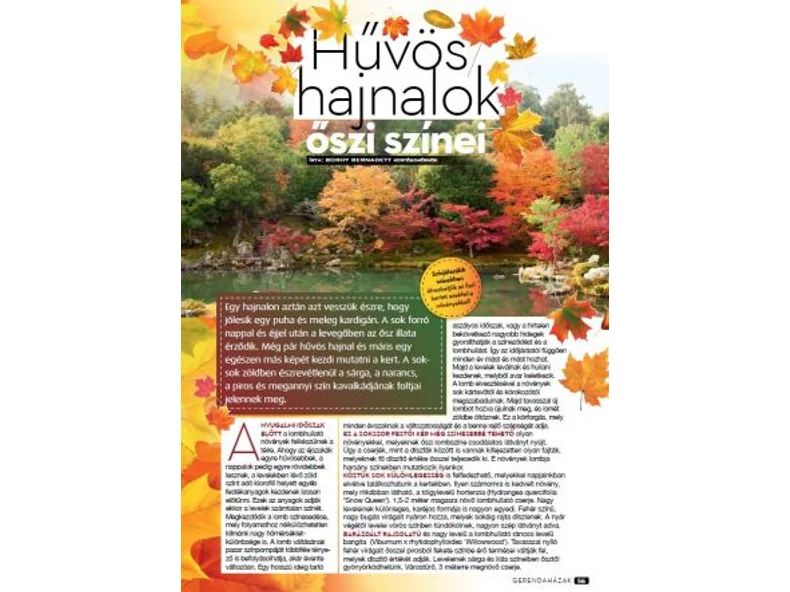 Hűvős hajnalok őszi színei - Gerendaházak Magazin