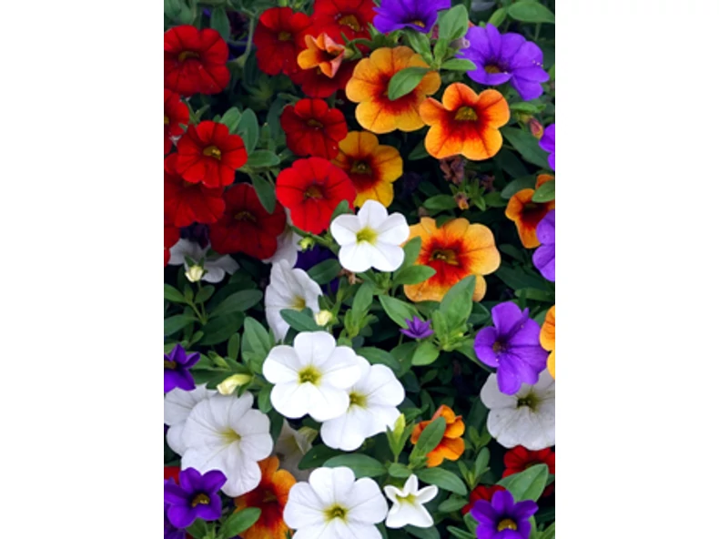 Itt a tavasz - Gerendaházak Magazin