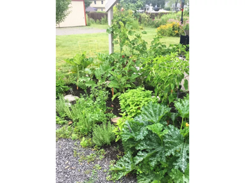 Ízek és illatok kertje - Gerendaházak Magazin