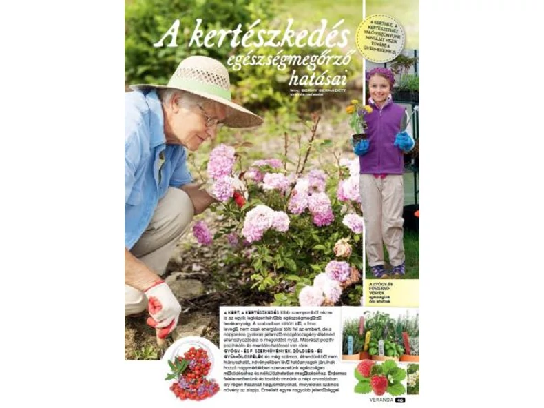 A kertészkedés egészségmegőrző hatásai - Veranda Magazin