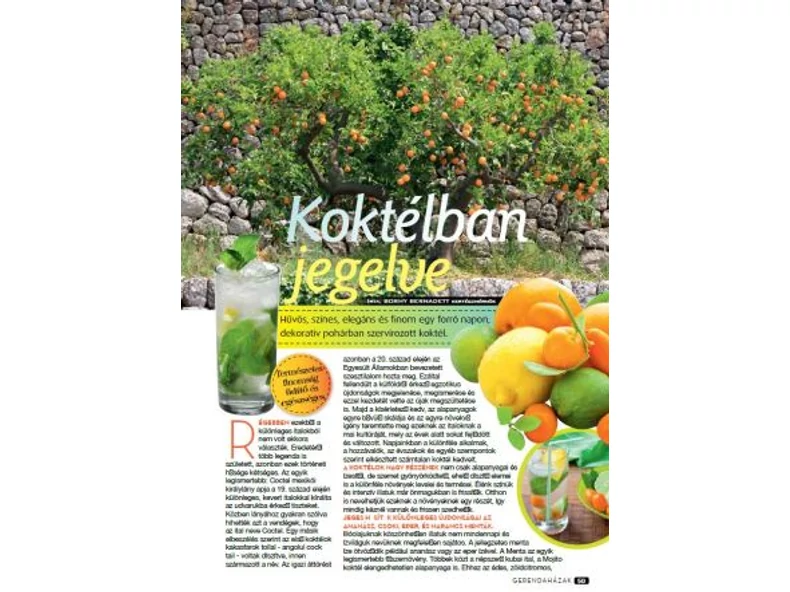 Koktélba jegelve - Gerendaházak Magazin